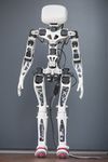 Poppy-3d-printed-robot-3.jpg